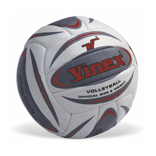 Vinex Volleyball - Champion